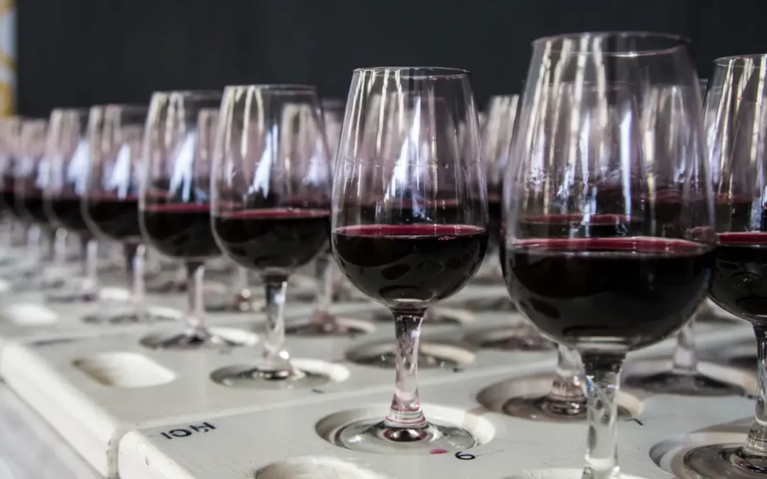 SA YOUNG WINE STARS OF 2017 BOAST AT NEDERBURG