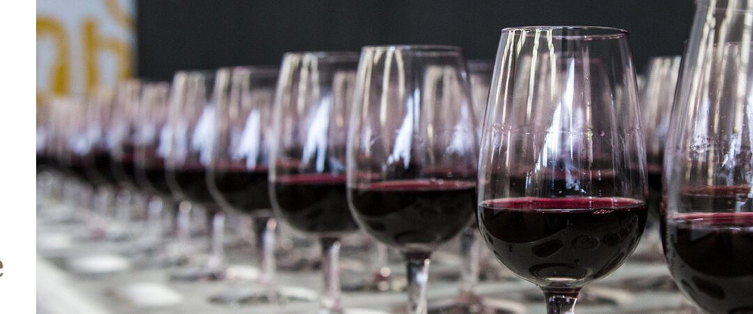 SPOTLIGHT ON THE SA YOUNG WINE STARS OF 2018